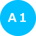 A1