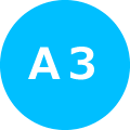 A3